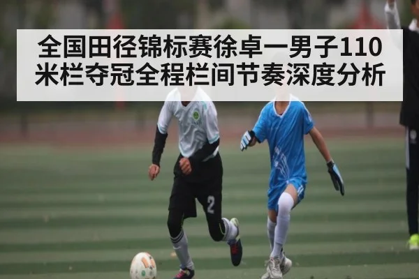 全国田径锦标赛徐卓一男子110米栏夺冠全程栏间节奏深度分析